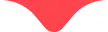 icon active