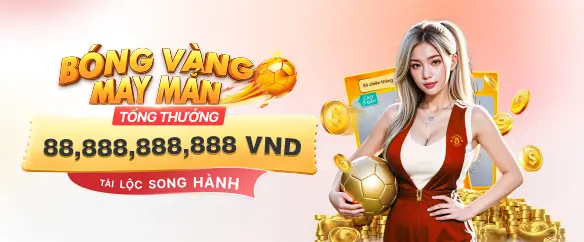 promotion-data-image